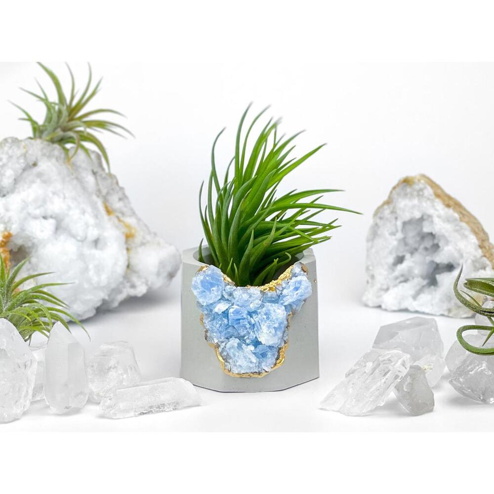 Succulent Crystal Planter | Geode Planter | Raw Blue Calcite - Picture 6 of 9